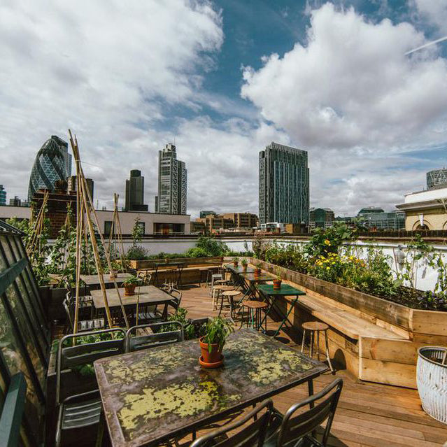Best Rooftop Bars in the City