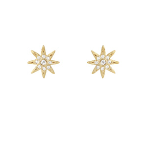 You added <b><u>LH Electra Star Studs in Gold</u></b> to your cart.