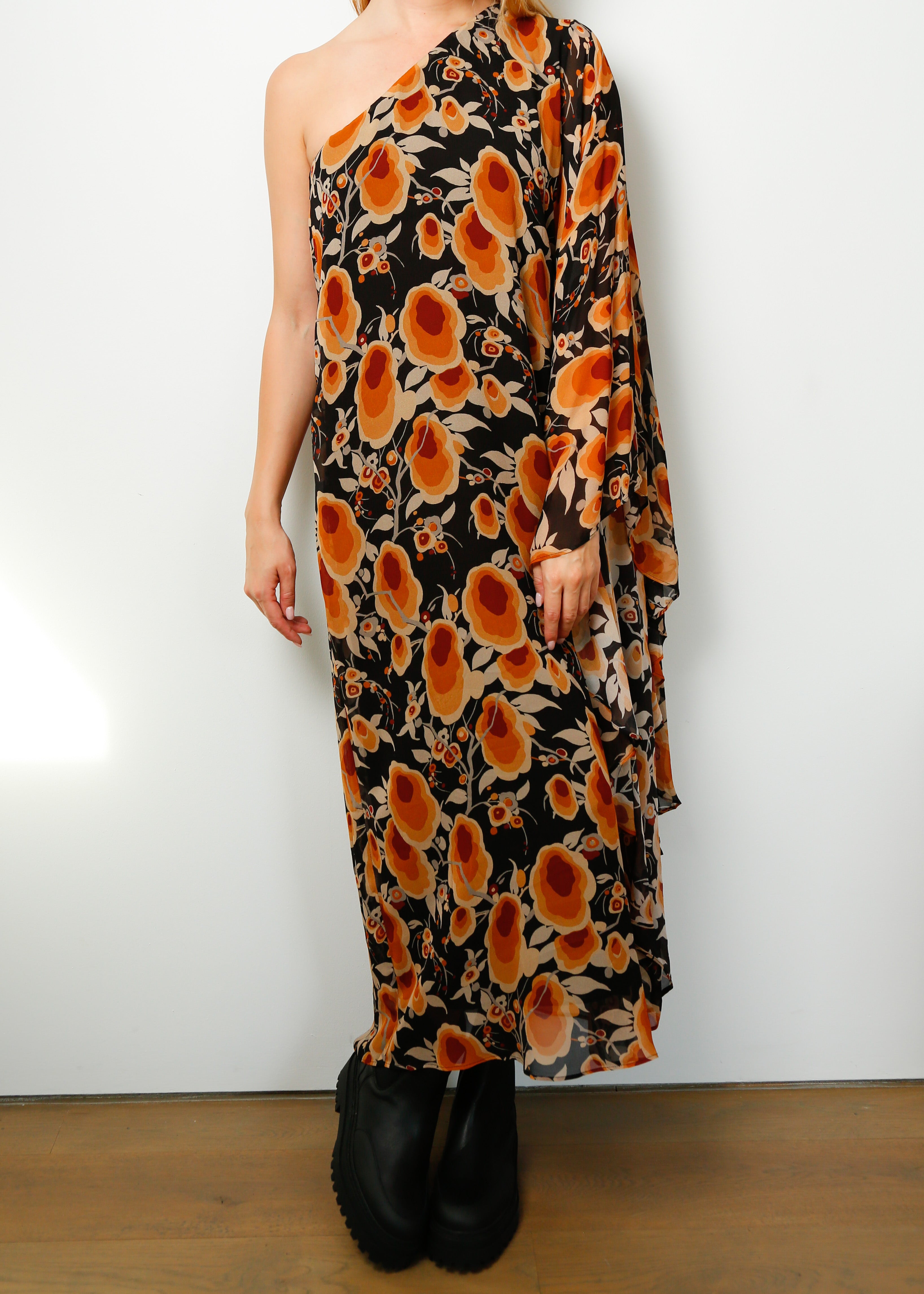 RIXO Liza Dress in Sienna Starlet Floral